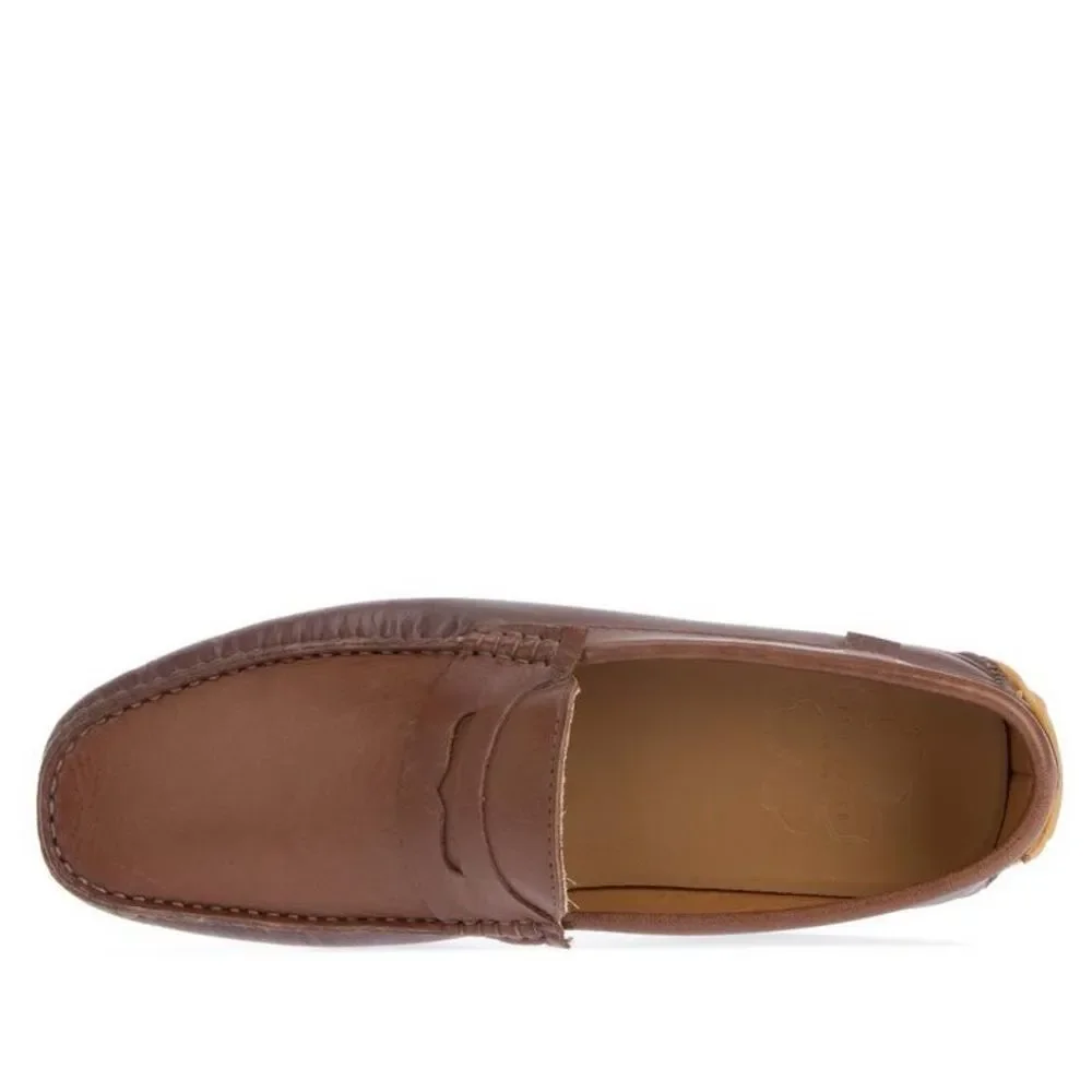 Ted Baker Alerrt Driving Loafer Shoe in Brown Chocolate 44